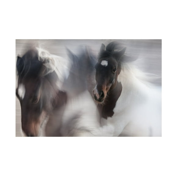 Canvas Wall Art - Martine Benezech 'Runaway Horse' Wall Art for Living Room, Bedroom, or Office Décor by Trademark Fine Art - 32 x 22 Inches
