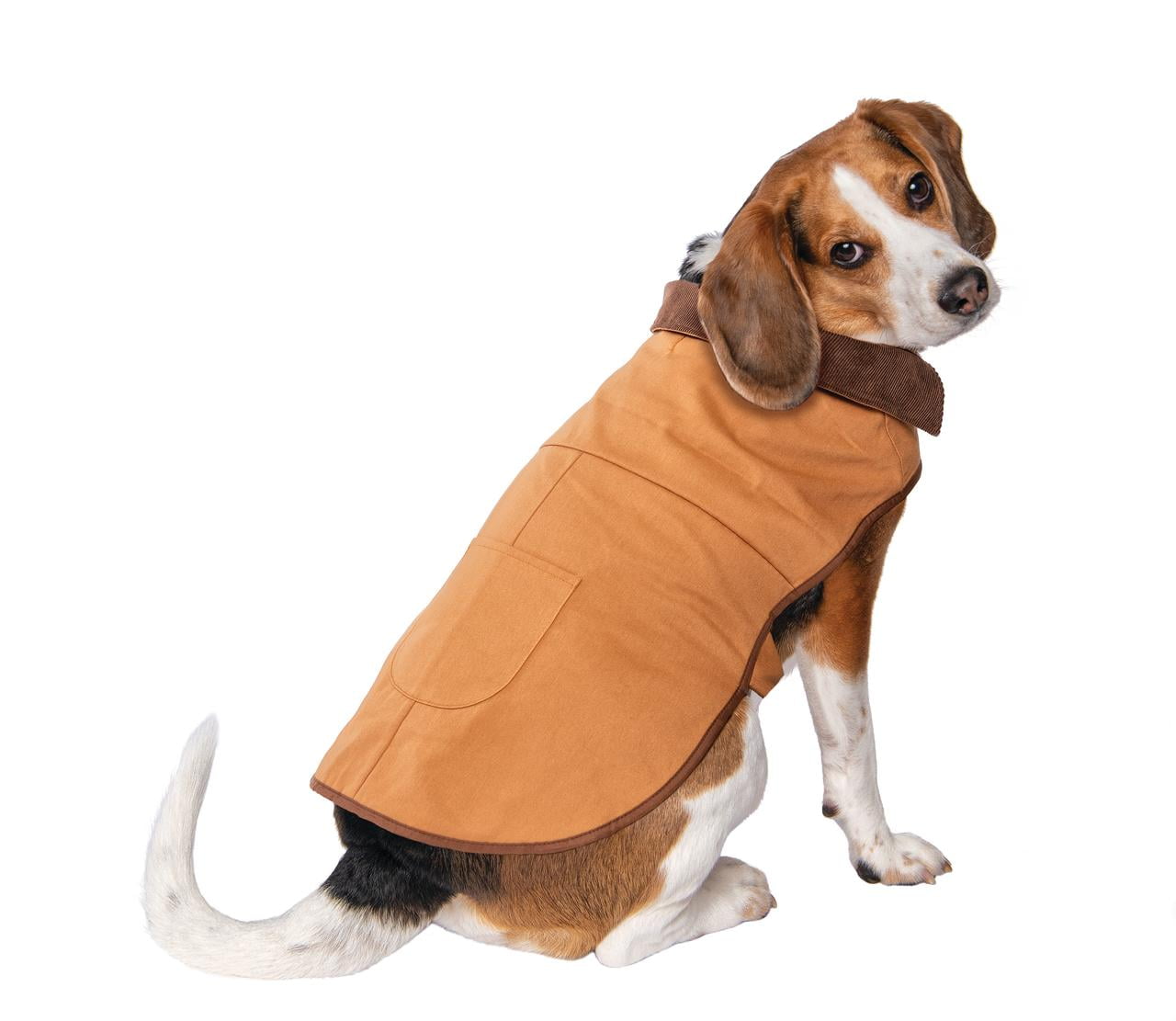 ll bean dog jacket