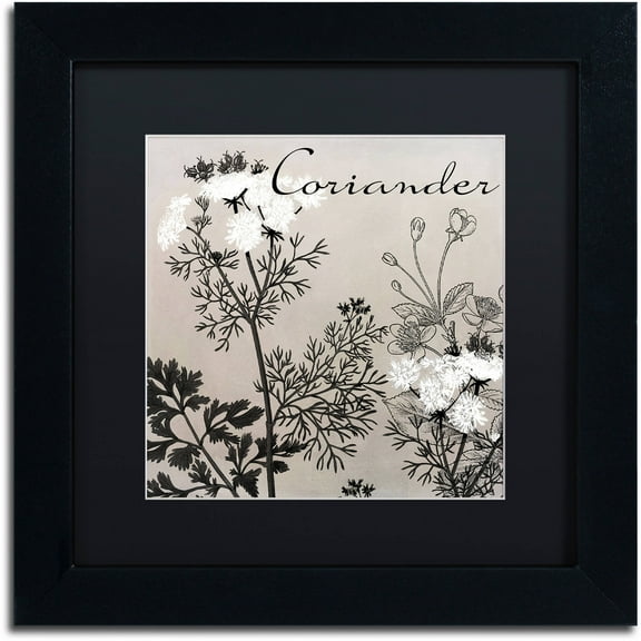 Trademark Fine Art "Flowering Herbs IV" Canvas Art by Color Bakery Black Matte, Black Frame