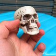 thumbnail image 5 of Halloween  Artificial Skull Head Model Skull Bone Scary Horror Skeleton Ornament, 5 of 5
