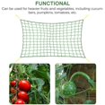 thumbnail image 3 of Red de enrejado para plantas, red para plantas de jardín, red para enredaderas, enrejado trepador con lazos giratorios para plantas, árboles y frutas, 3 of 5