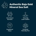 Baja Gold Mineral Sea Salt, Fine Grind, 1 Lb. Bag