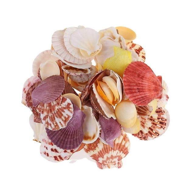 1 bolsa / alrededor de 250 g Adornos de concha de concha natural Delicado estilo marino mixto Materiales de marco de fotos de bricolaje Escaparate Pecera Acuario Decoración de paisaje (ra Feliz Sencillez