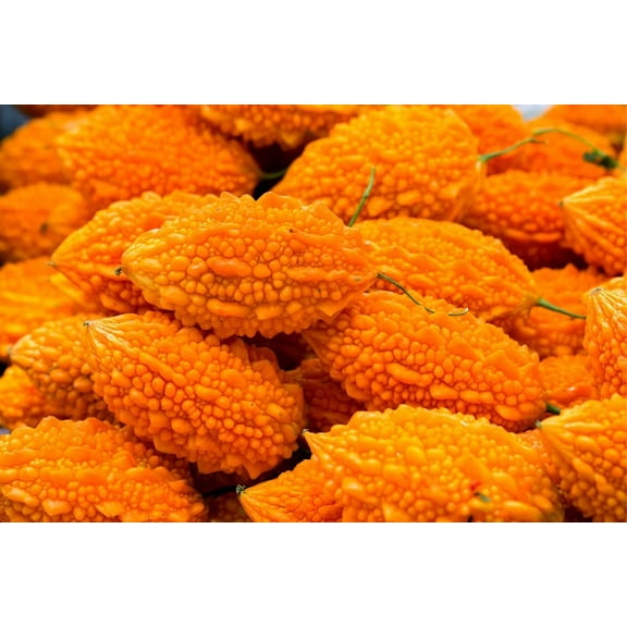 CZ Grain 10 Exotic Bitter Gourd Vine Plant Seeds