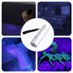 thumbnail image 1 of Linterna de luz UV portátil impermeable luz ultravioleta de 395nm 9 Ehuebsd LED para caza detección de dinero sin batería, 1 of 5