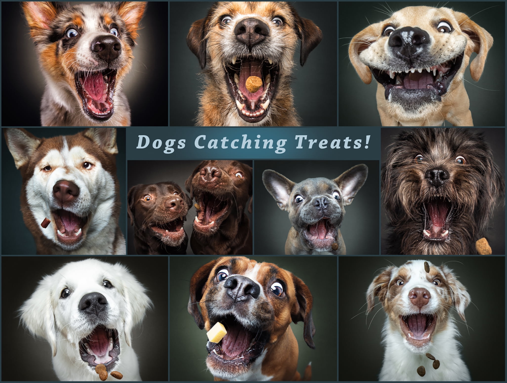 Buffalo Games Dog Days Catching the Perfect Treat 750-Piece Interlocking Jigsaw Puzzle for Adults Ages 14+