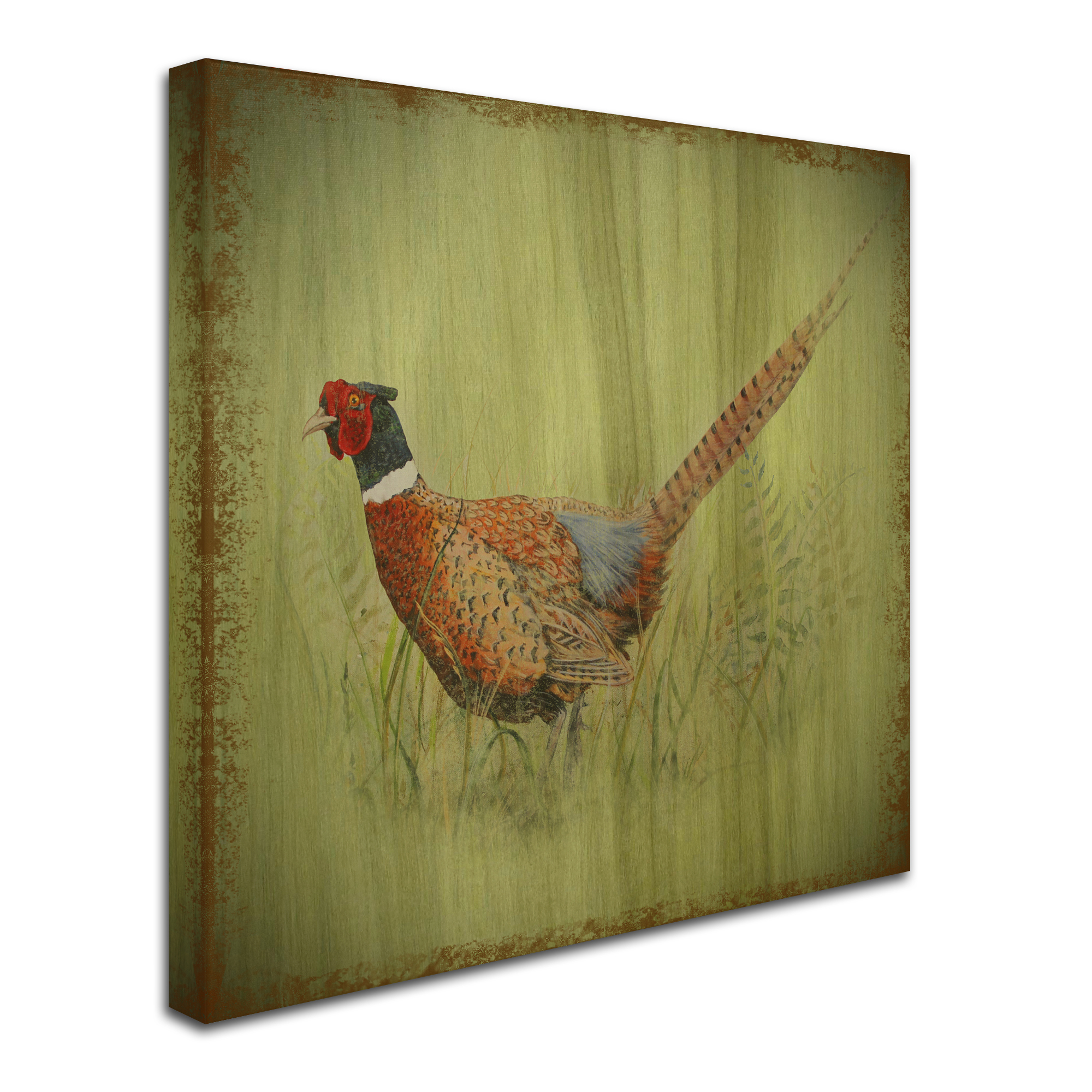 Trademark Fine Art 'Wilderness Lodge 7' Canvas Art by Jean Plout