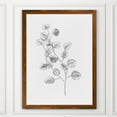 thumbnail image 3 of Wexford Home Eucalyptus Sketch IV-Framed - Maple - 16X22, 3 of 4