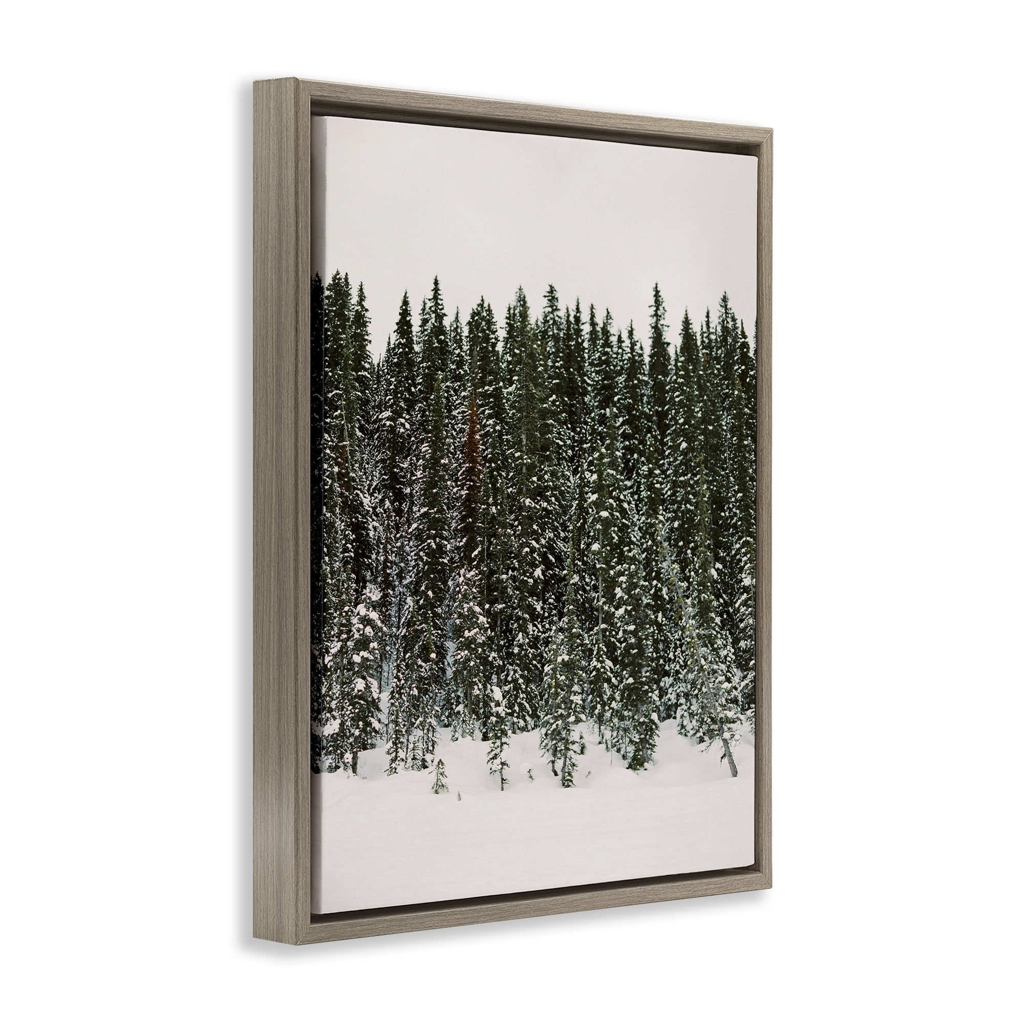 Stupell Industries Winter Forest Grove Landscape Photography Brown Floater Framed Art Print Wall Art, 25 x 31