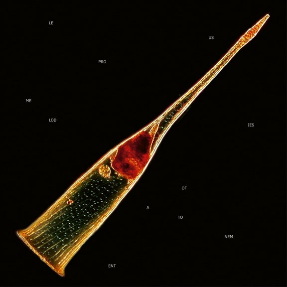 Leprous - Melodies Of Atonement - Music & Performance - Vinyl