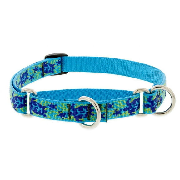LupinePet Originals 3/4" Turtle Reef 10-14" Martingale Collar for Small Dogs