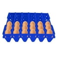 thumbnail image 4 of Plateau Plat en Plastique à 30 Alvéoles pour Oeufs, Grand Contenant Supplémentaire pour Entreposer et Transporter les Oeufs, Réutilisable et Empilable, Convient à la Maison et à la Ferme, 4 of 7