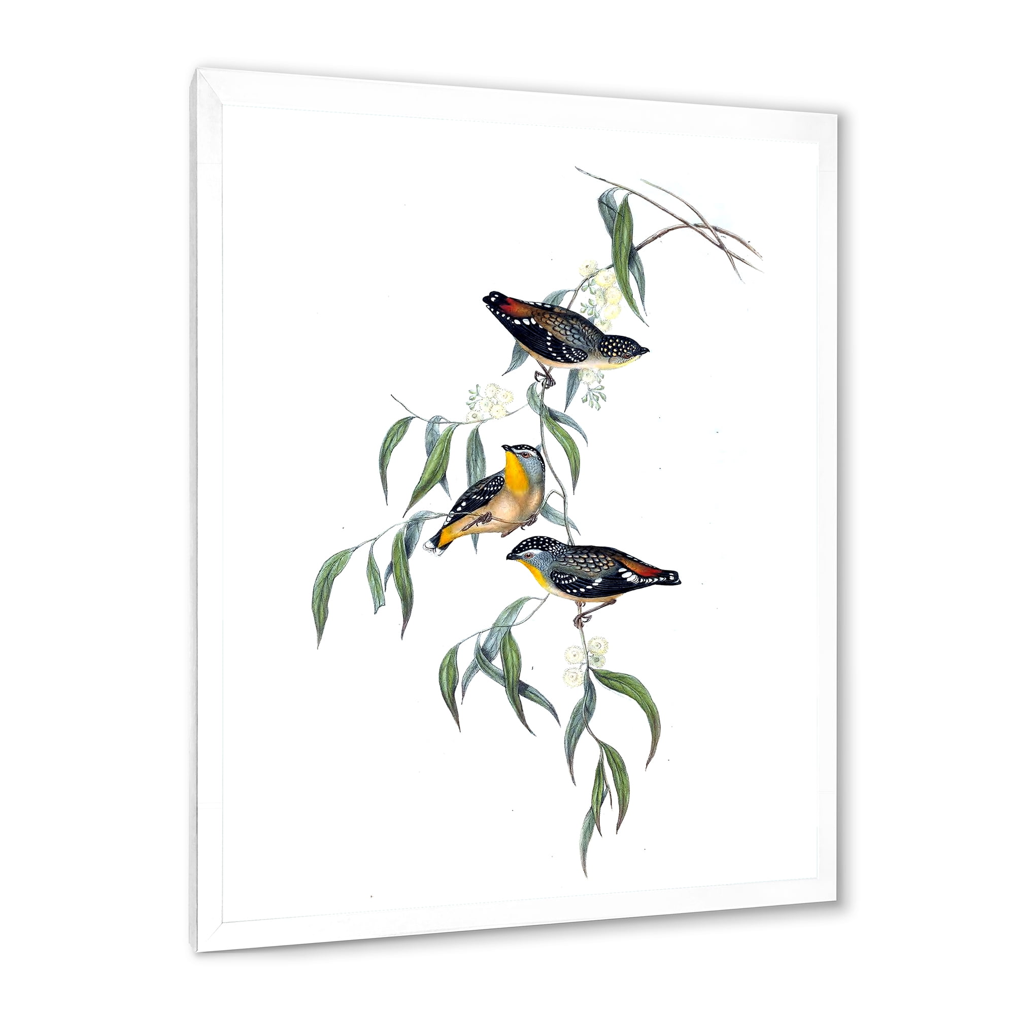 Designart 'Ancient Bird Life III' Traditional Framed Art Print
