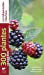 300 plantes comestibles