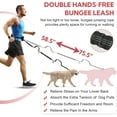 thumbnail image 3 of Hands-Free Dog Leash with Pouch - Double Retractable Bungee Leash for Two Dogs, Adjustable Waist Belt with Dual Padded Handles, Reflective Design for Walking, Running, and Training, 3 of 6