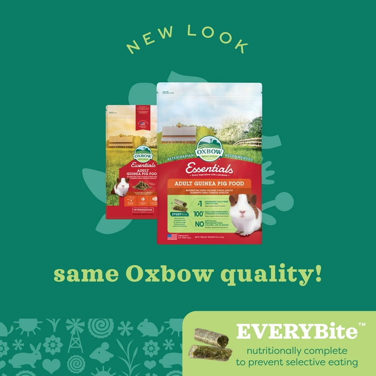 Oxbow essentials guinea pig food 10lb hotsell