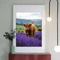 thumbnail image 2 of Diamond Art Kits for Adults - 5d Brown Bovines Lavender Field Scene Diamond Painting for Adults, Diamond Art for Adults Beginners, Diamond Painting Kits for Adults for Home Wall Decor, 2 of 7