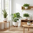 thumbnail image 3 of FIASON 5 Pack Plastic 6/8/9/10/12 Inch White with Brown Self Watering Plant Pots,Include Watering Lip,Drainage Holes & Removable Saucer for Indoor Outdoor Use, 3 of 11