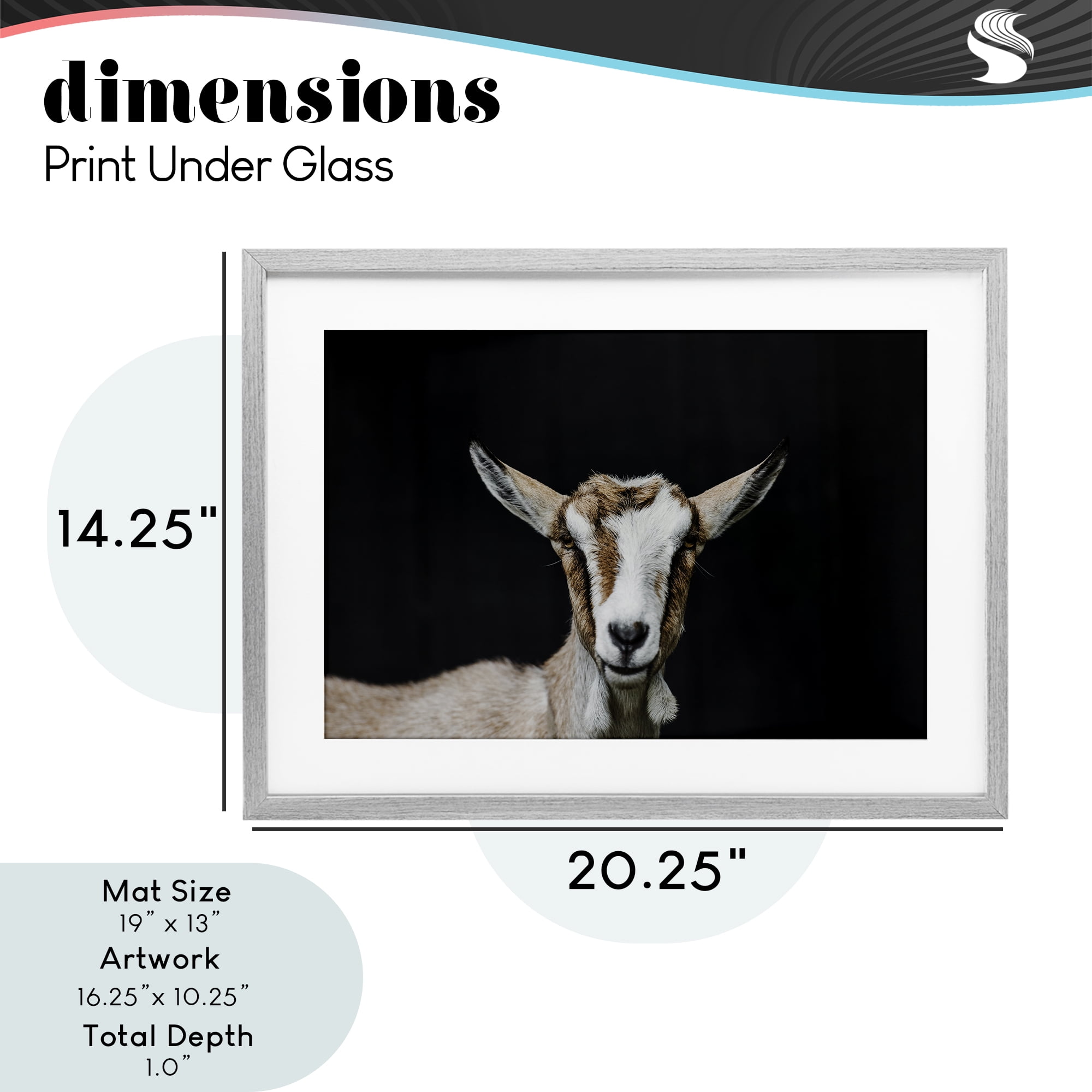 Goat Face over Black Gray Framed Print Under Glass, design by Amy Carroll