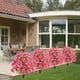 thumbnail image 4 of Flores Artificiales de Lirios, Inserto Floral para Suelo con Estaca para Decoración de Jardín, Eucalipto, Decoración Floral Artificial, Vegetación Artificial, 4 of 6