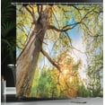 thumbnail image 4 of Ambesonne Landscape Shower Curtain, Vibrant Summer Sky, 69"Wx70"L, Green Brown, 4 of 5