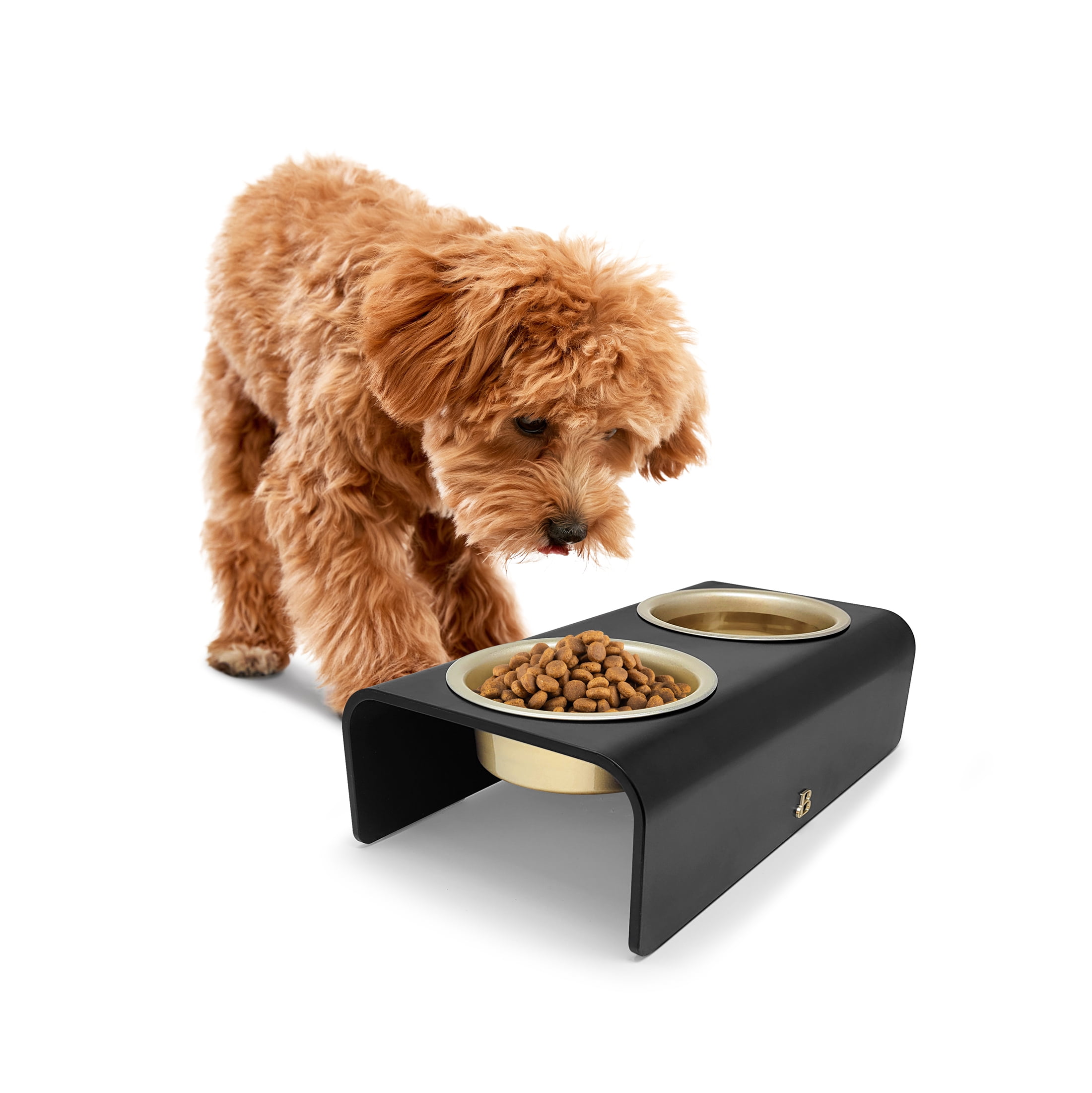 Beautiful Double Elevated Stainless Steel Pet Bowl, 3-Cup, Black by Drew Barrymore