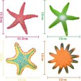 thumbnail image 2 of Ensemble de 4 Jouets de Plongée Modèle Étoile de Mer Jouet Coloré Ensemble de Jouets de Piscine (Style 2), 2 of 5