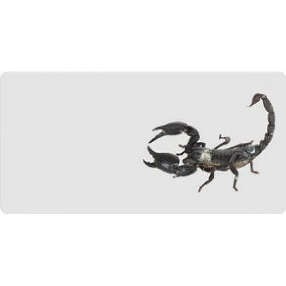 Scorpion Offset On White Photo License Plate Free Personalization on this plate