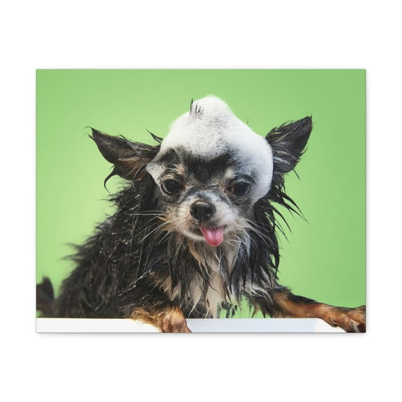 Funny Chihuahua Bath Canvas Wall Art for Home Decor Ready-to-Hang