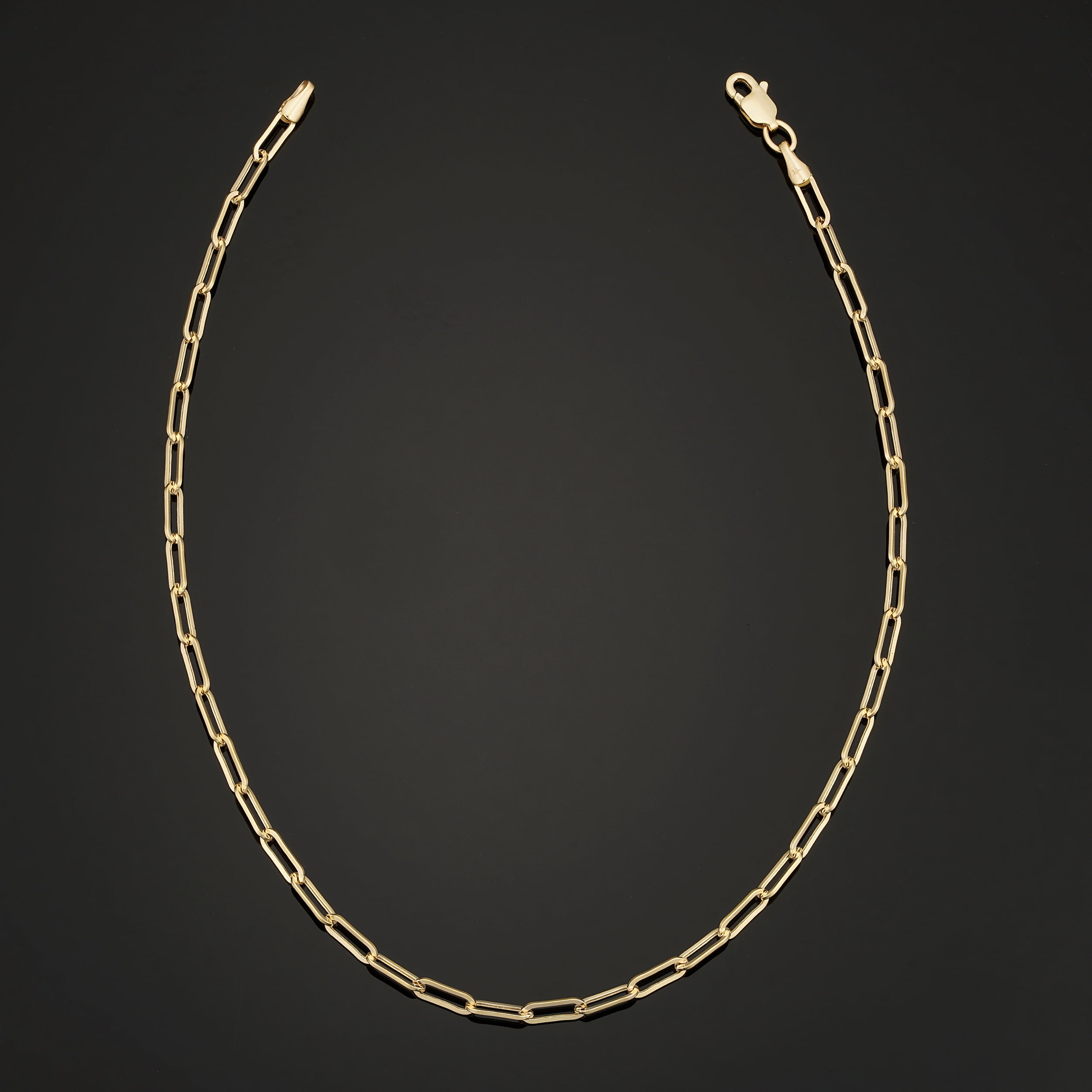 Au Naturale 14k Yellow Gold Paperclip Chain Ankle Bracelet for Women (2.5 mm, 10 inch)