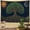 D, variant on XaaKee Room Tapestry, Ancient Esoteric Arbor Mystical Botanical Wall Tapestry, High-Quality Polyester Bedroom Tapestry For Office Dorm, 60x40Inch