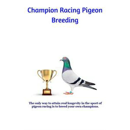 Champion Racing Pigeon Breeding - eBook