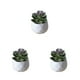 thumbnail image 1 of Ounissouiy Simulación suculenta artificial Bonsai Paisaje de flores falsas para el hogar Type3 NO3, 1 of 6