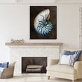 thumbnail image 3 of Stupell Industries Dark Nautilus Shell Nature Painting Gallery Wrapped Canvas Art Print Wall Art, 36 x 48, 3 of 8
