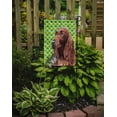 thumbnail image 2 of Carolines Treasures SC9566GF Irish Setter St Patricks Irish Flag Garden Size, 2 of 3