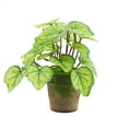 thumbnail image 2 of Mini Artificial Potted Plants Set Realistic Tropical Monstera Ivy UV Resistant Faux Mini Potted Greenery Leaves Plants Indoor for Home Office Desk Shelf Bathroom Jungle Hawaiian Party Décor Gifting, 2 of 9