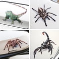 thumbnail image 4 of BAETEUY 3D Scorpion Animal Print Car Auto Trunk Body Bumper Window Decor Decals, 4 of 8