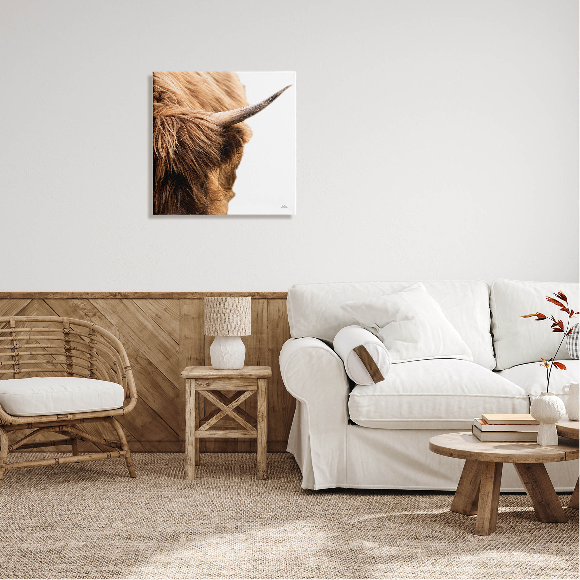 Close Up Cattle Horn Photography Animals & Insects Photograph Gallery Wrapped Canvas Print Wall Art