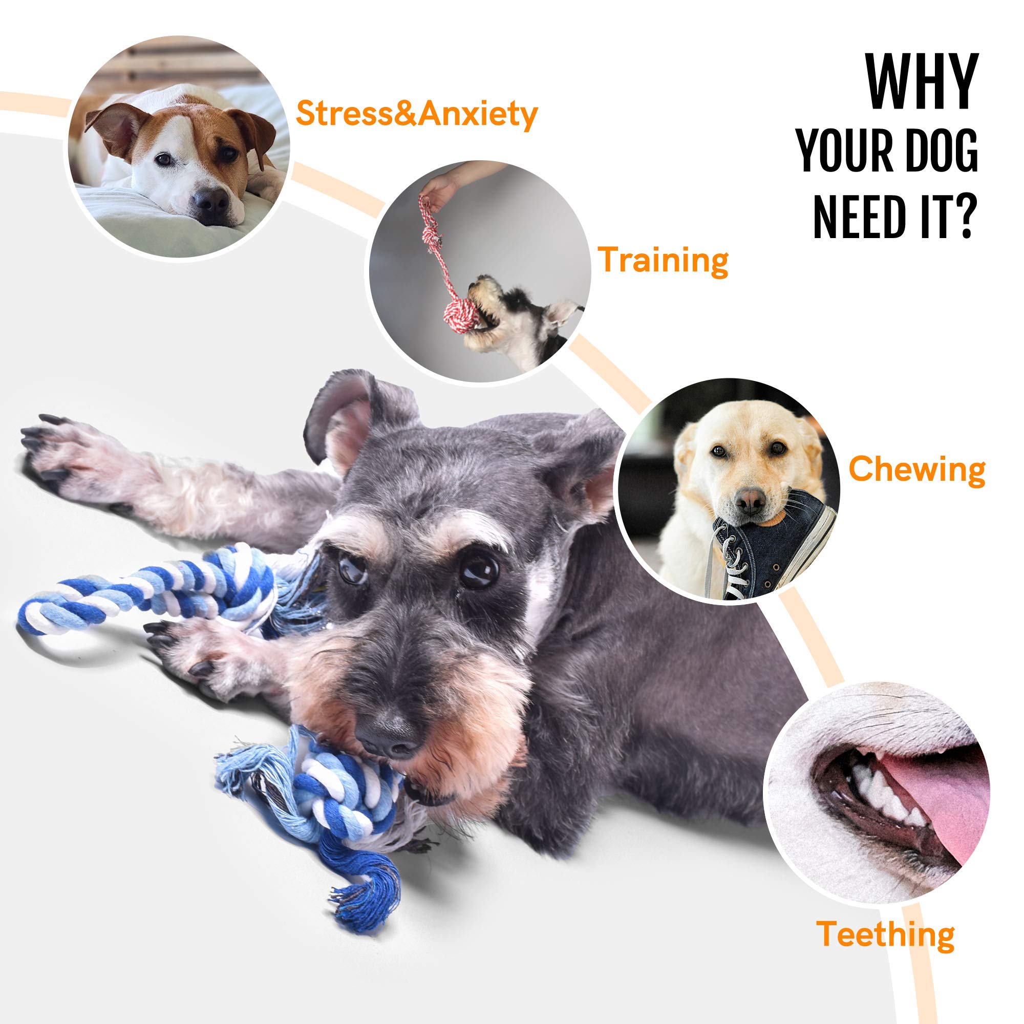 Dog Rope Toys 4 Pack, Puppy Teething Sturdy Cotton Chew Tug Indoor/Outdoor, Exercise Interactive Tug O'War Toys Set for Boredom Small-Meidum Dogs