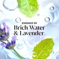 thumbnail image 5 of (4 pack) Olay Fresh Radiance Body Wash with Essence of Birch Water and Lavender, Vitamin B3 and Antioxidant Blend, 5 of 14