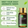 thumbnail image 5 of MAYJAM 20Pcs Essential Oils For Humidifier, Aromatherapy Oil Diffuser Oils For Candle Making, 5 of 11