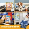 thumbnail image 2 of Arm & Hammer A&H Bicarbonate de Soude 16 Oz, 2 of 13