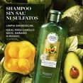 thumbnail image 2 of Shampoo Herbal Essences para cabello seco Nutre e Hidrata Pequi & Aguacate sin sal 400 ml, 2 of 6