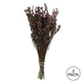 thumbnail image 5 of Vickerman 12-22" Violet Phylica Bundle.  Includes 10 oz (2 -5 oz Bundles), Preserved, 5 of 5