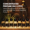 thumbnail image 2 of Aceite de perfume concentrado Perfume PEARLANERA ANFAS, 20 ml, 2 of 8