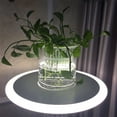 thumbnail image 6 of Raindrops  100 Pcs Hydroponic Cultivation Basket Large Indoor Plant Pots Transparent, 6 of 8
