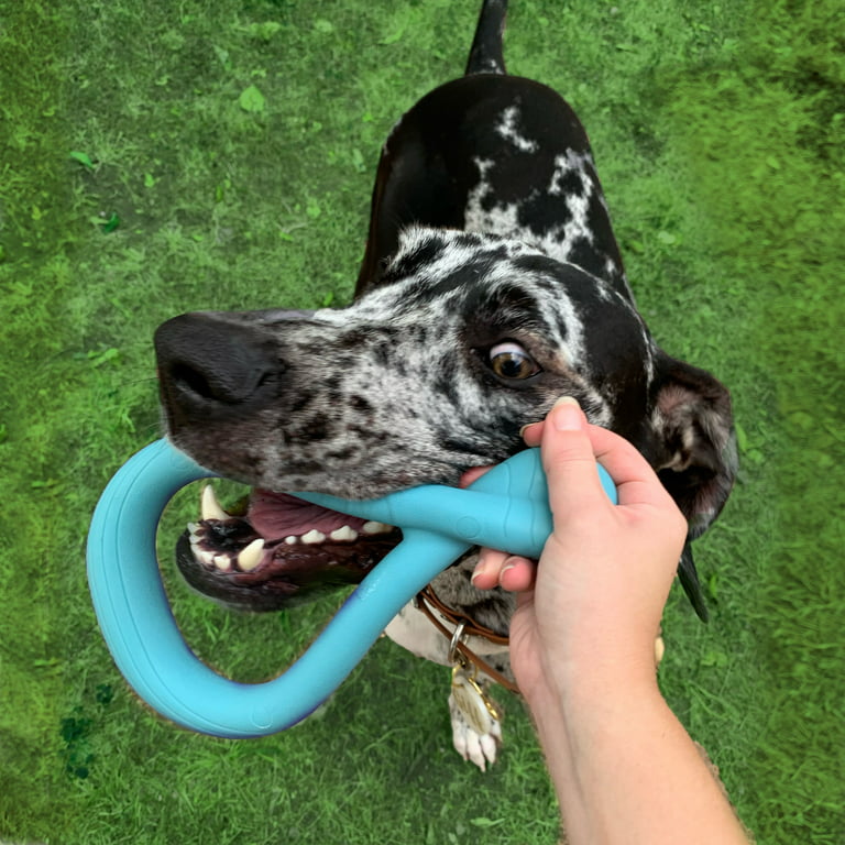 MASBRILL Interactive Dog Chew Toy–Brightly Colored Dog Enrichment