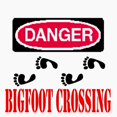 thumbnail image 2 of CafePress - BIGFOOT, DANGER BIGFOOT CROSSING - Adjustable Unisex Printed Trucker Hat with Mesh Back, 2 of 8