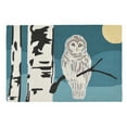 thumbnail image 2 of FRONTPORCH 1862/47 SNOWY OWL NIGHT - 30"X48" Area Rug by Trans-Ocean, 2 of 2