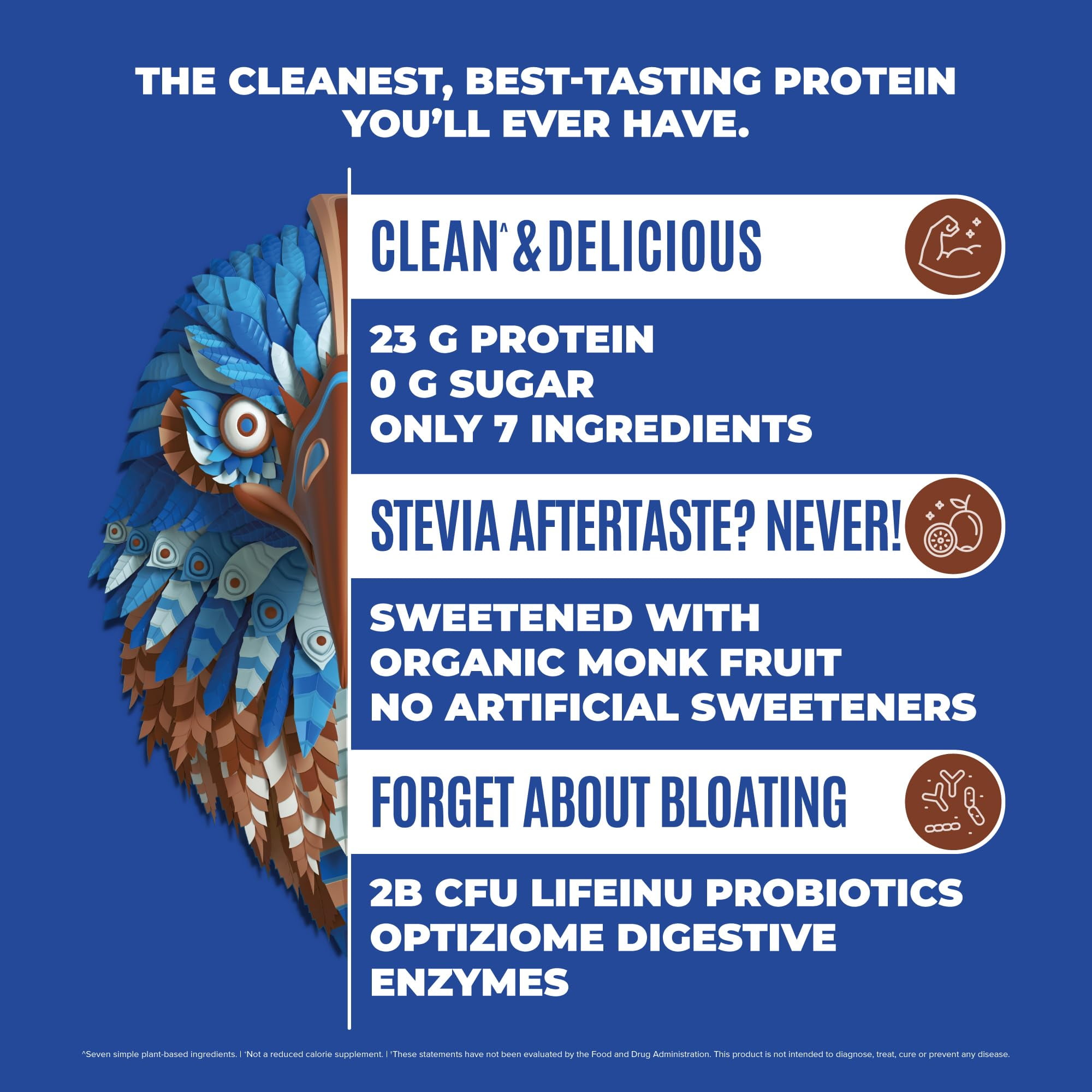 BIRDMAN Falcon Organic Vegan Protein Powder, Stevia & Sugar Free, Chocolate, 37 Servings, 2.64lb
